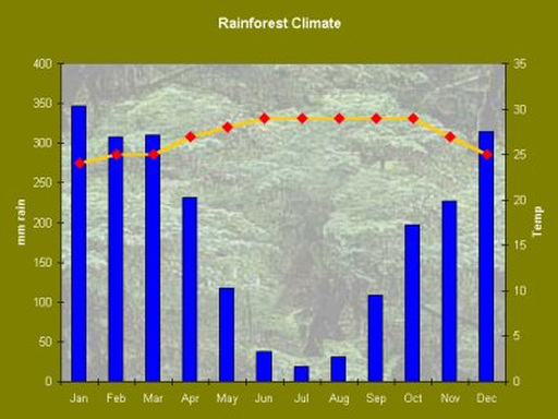 rainforest rainfall graph